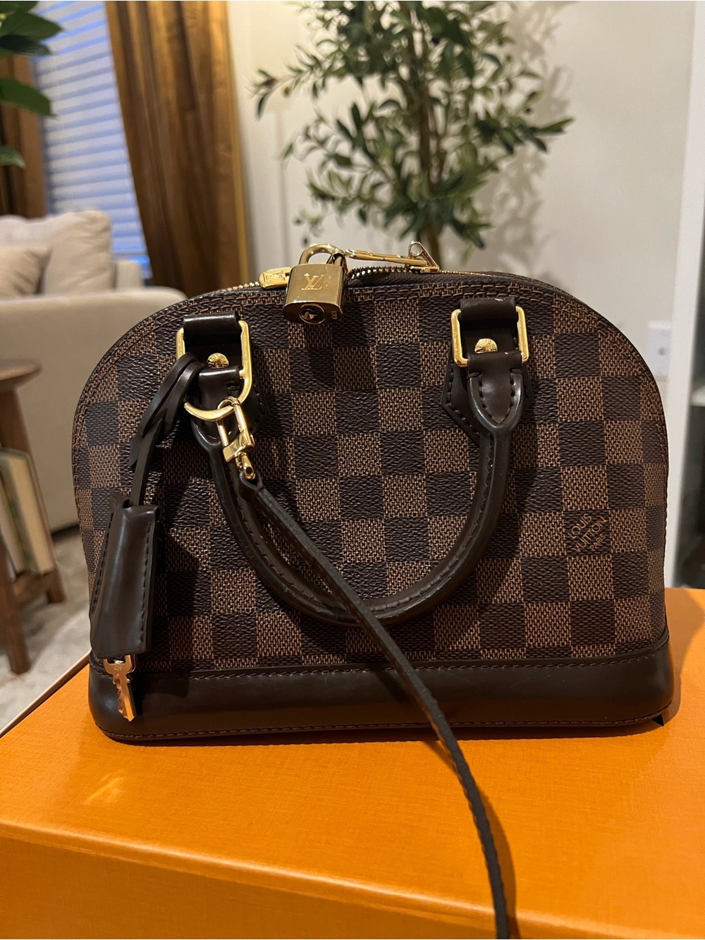 Louis Vuitton Damier Ebene Mini Alma BB Satchel with Gold Hardware